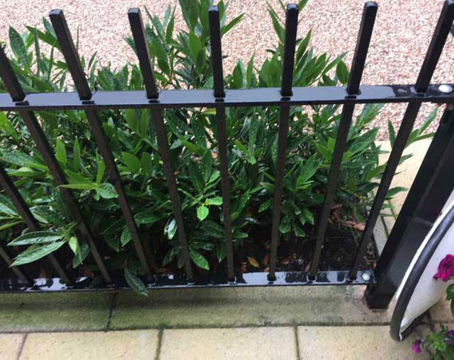 Metal Rail Fencing Stafford