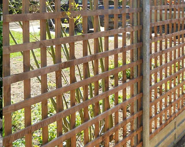 Trellis Fencing Stoke